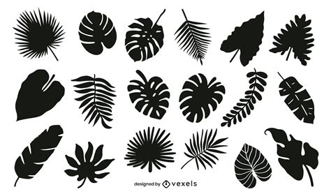Leaves Vector And Graphics To Download