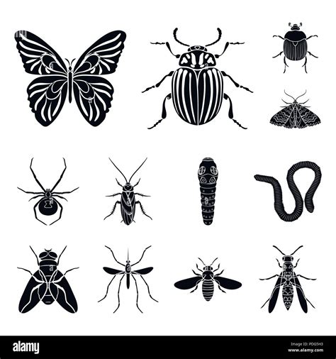 Different Kinds Of Insects Black Icons In Set Collection For Design Insect Arthropod Vector