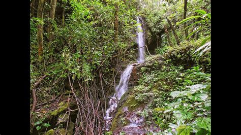 howzitboy hikes: Tantalus' secret hike - YouTube