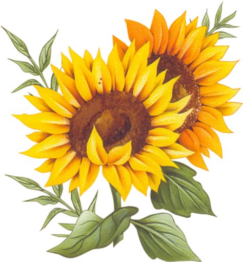 Free 254 Vector Clipart Sunflower Png Svg Png Eps Dxf File