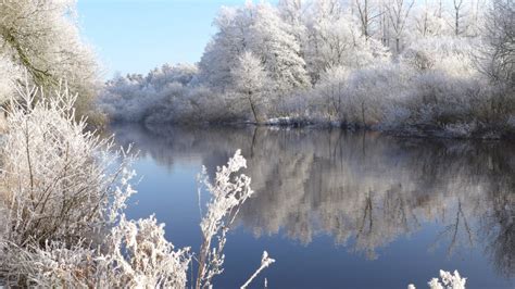 Free Images Tree Water Nature Wilderness Branch Snow Winter