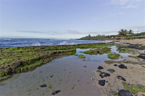 Hookipa Beach Park Maui Guidebook