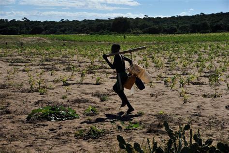 Climate Smart Agriculture Is Being Adopted In Drought Stricken Madagascar