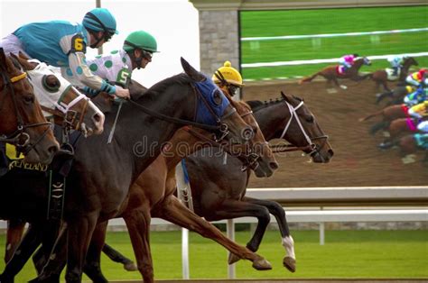 Horses Racing For The Finish Line In Knetucky Editorial Stock Image