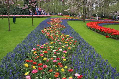 These tulip fields in the netherlands are open for visitors only for around 60 days every year. Fotoreeks: Toerist in eigen land bij De Keukenhof - Reizen ...
