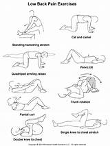 Lower Back Exercises Pictures