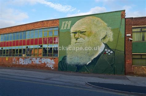 Charles Darwin Street Art Wall Mural Sheffield Uk