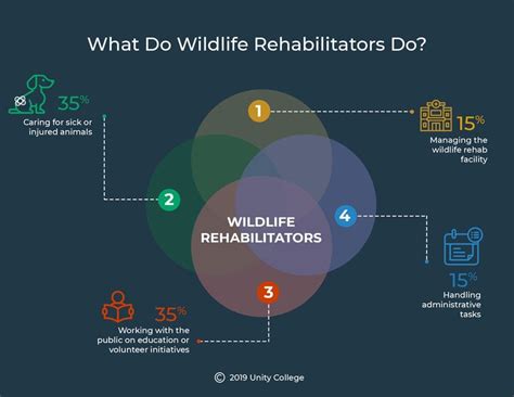Everything You Need To Know To Become A Wildlife Rehabilitator Unity