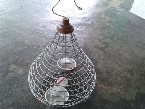 Pakan pabrikan yang banyak disarankan oleh peternak burung puyuh adalah pakan ayam broiler periode starter. TOTALLY PROTECTED PETS: Sangkar Labu untuk di jual