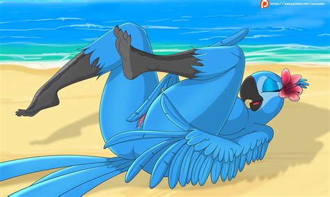 Rule Anthro Anthrofied Ass Avian Beak Bird Blue Feathers Blue Macaw Breasts Closed