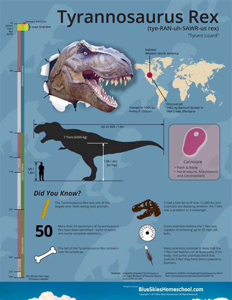 Tyrannosaurus Rex Dinosaur Fact Sheet And Infographic Tyrannosaurus Rex