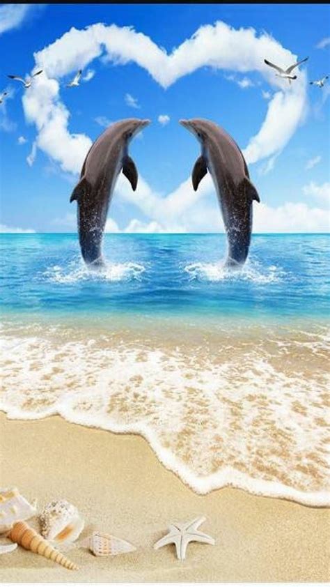 Download Dolphin Love Wallpaper By Newmoon1987 B4 Free On Zedge