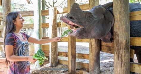 Animal Encounters At Zootampa