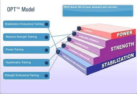 트레이닝 단계 프로그램 설정 Nasm Opt Model 기본중 기본 네이버 블로그