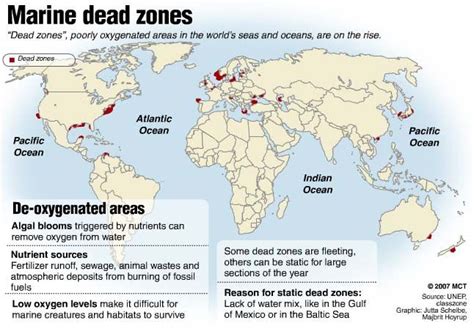 Gran Cantidad Limpiar Solicitante Dead Zone Map Estrecho Finalmente