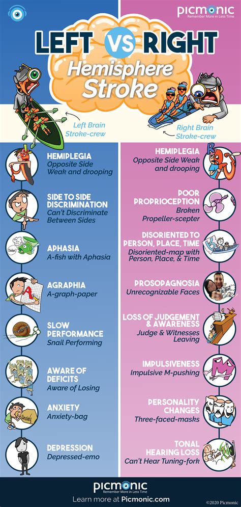 Left Vs Right Hemisphere Stroke Right Hemisphere Stroke Nursing