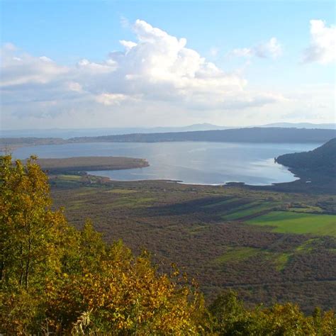 Riserva Naturale Lago Di Vico Pagina Ufficiale