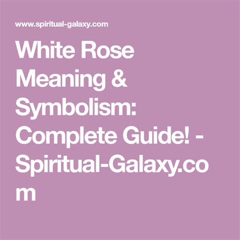 White Rose Meaning Symbolism Complete Guide Spiritual Galaxy Com