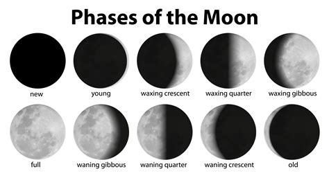 Phases Of The Moon 448027 Vector Art At Vecteezy