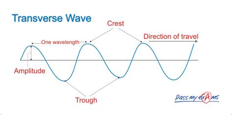 The following diagrams show examples of longitudinal and transverse waves. Waves - 6TH GRADE SCIENCE