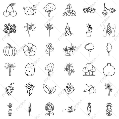 Gambar Ikon Bunga Mengatur Garis Besar Ikon Biologi Simbol Obyek Png