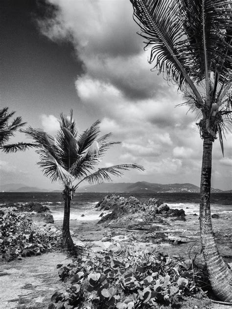 Caribbean Shore Photography By Cybershutterbug