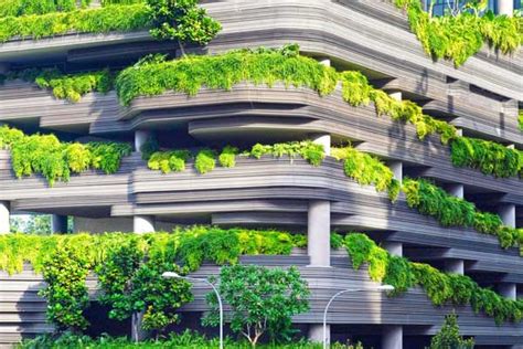 How Plants And Green Spaces Benefit Your Building Control Solutions Inc