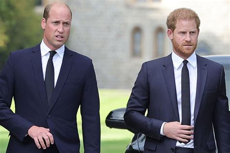 Prince Harry Talks Relationship With Prince William On Netflix Show