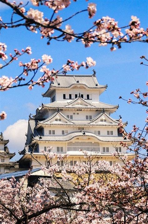 How To Plan A Cherry Blossoms Trip To Japan Japan Travel Trip
