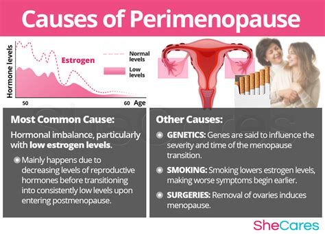 Perimenopause Symptoms Shecares