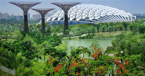 Good housekeeping's gardening advice can help you plan the perfect garden for every budget and plot size. Singapore Gardens by the Bay with shared transfers | musement