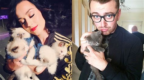 Celebrity Cat Lovers Cuddle Up To Caturday