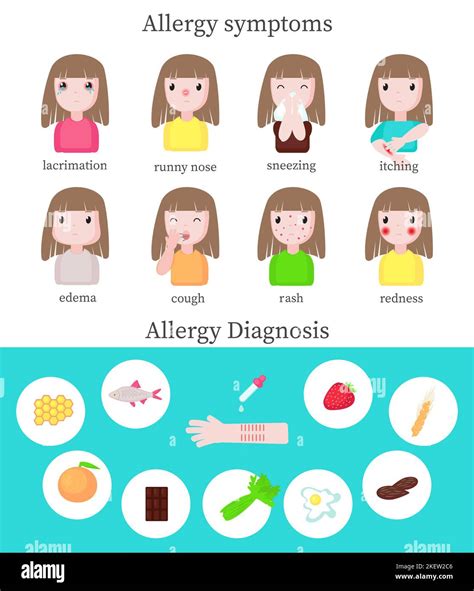 Allergy Symptoms And Diagnosis Infographics Vector Flat Style Design