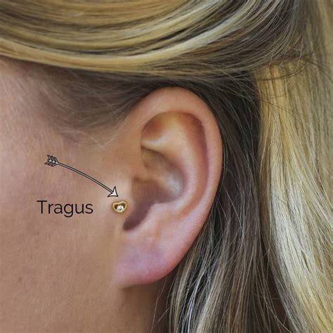 The 8 Most Popular Ear Piercing For Women 𝐁𝐞𝐬𝐭𝐫𝐚𝐭𝐞𝐝𝐬𝐭𝐲𝐥𝐞