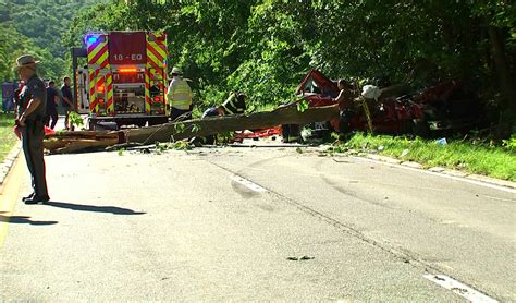 1 dead, 2 hospitalized from tree falling on New York's Palisades Parkway