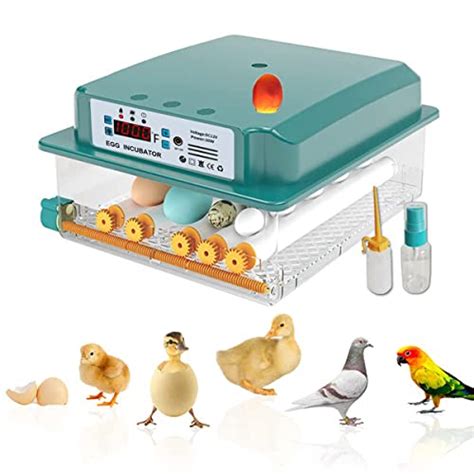 Best Automatic Egg Incubators For Turning Eggs