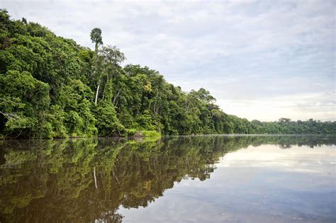 10 Best Peru Amazon River Cruise Tours 20232024 Tourradar