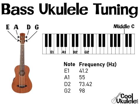 Bass Ukulele Tuning Standard Notes Eadg Epic Guide