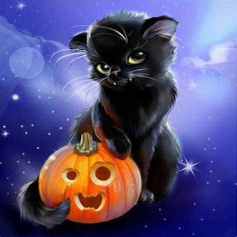 trick or treat kitten halloween pictures black cat halloween halloween cat