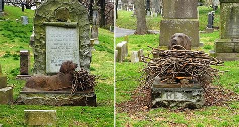 People Have Been Leaving Sticks On This Dogs Grave Who Died 100 Years