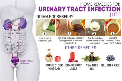 Home Remedies For Uti Herbal Remedies