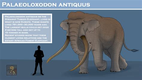 Palaeoloxodon Antiquus By Artlover1214 On Deviantart