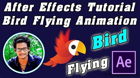 After Effects Tutorial Bird Flying Animation Tutorial Youtube
