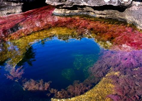 Check spelling or type a new query. US oil company sues Colombia for exploration ban near Cao ...