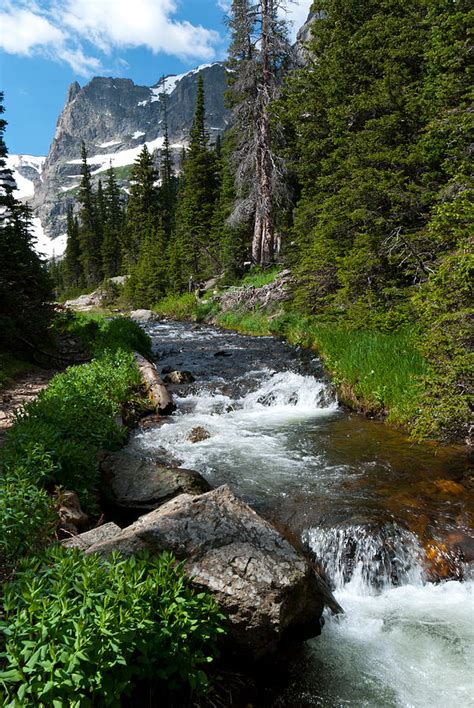 Summer Rocky Mountain Stream Photograph By Cascade Colors