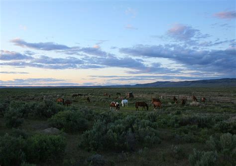 Rushmore and harney peak in the dist. Burns, OR : Wild Horses..... photo, picture, image (Oregon ...