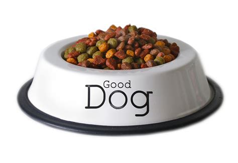 Explore the fascinating dog food ranges and big deals. Can you buy dog food with EBT Card - EBTCardBalanceNow.com