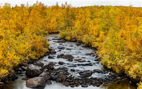 Download Wallpaper 3840x2400 River Stones Trees Autumn Landscape