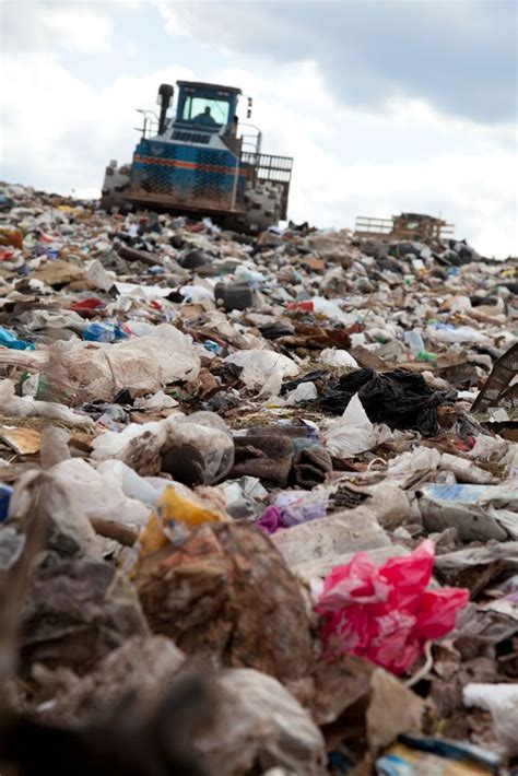 Lookout Landfills New Bacterium Feeds On Plastic Waste Artofit
