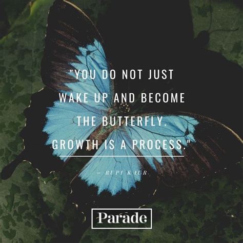 100 Butterfly Quotes Parade